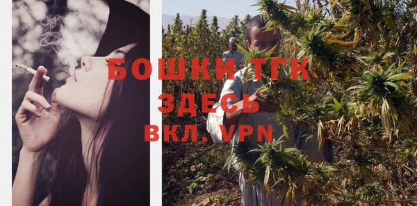 прущие грибы Баксан