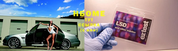 шишки Балахна