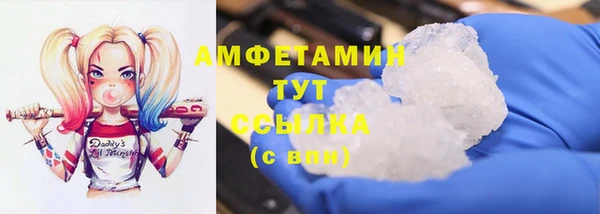 прущие грибы Баксан