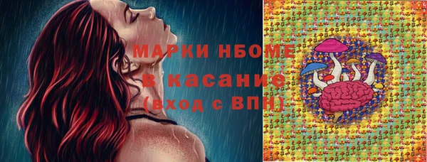 прущие грибы Баксан