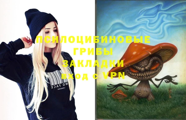 шишки Балахна