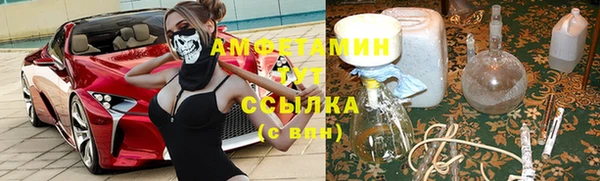 прущие грибы Баксан