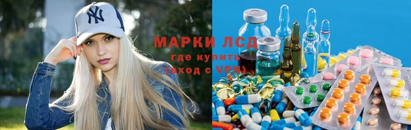 шишки Балахна