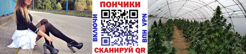 Марихуана семена  блэк спрут вход  Лениногорск 